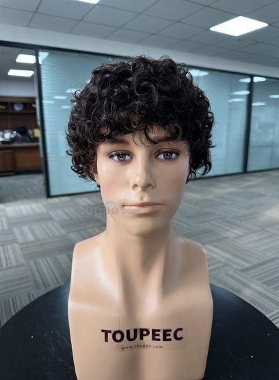 Short curly hairstyle men wig man full lace human hair wig natural hair hairstyle as picture toupee